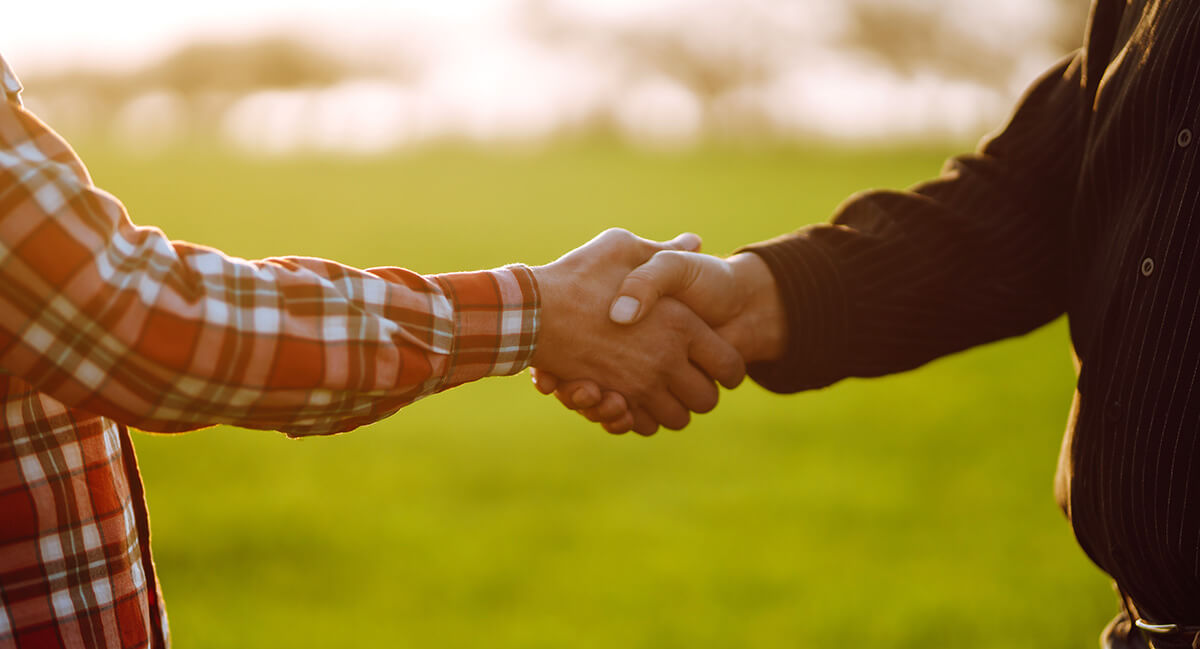 Hand shake